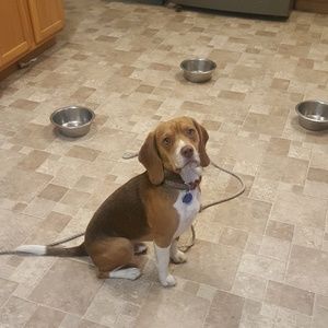 Meet your Posher, Sharon